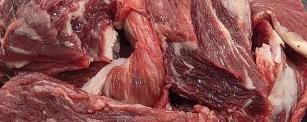 한우 투박한고기 250g